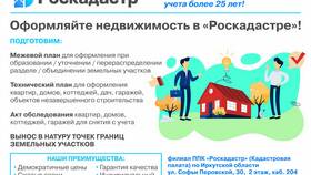 Что значит архивная запись в ГИБДД в Зара