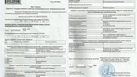 Как оформить ИП: пошаговая инструкция в Зара