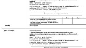 Как оплатить государственные услуги и платежи в Зара