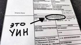 УИН НПА в платежном поручении: что это в Зара